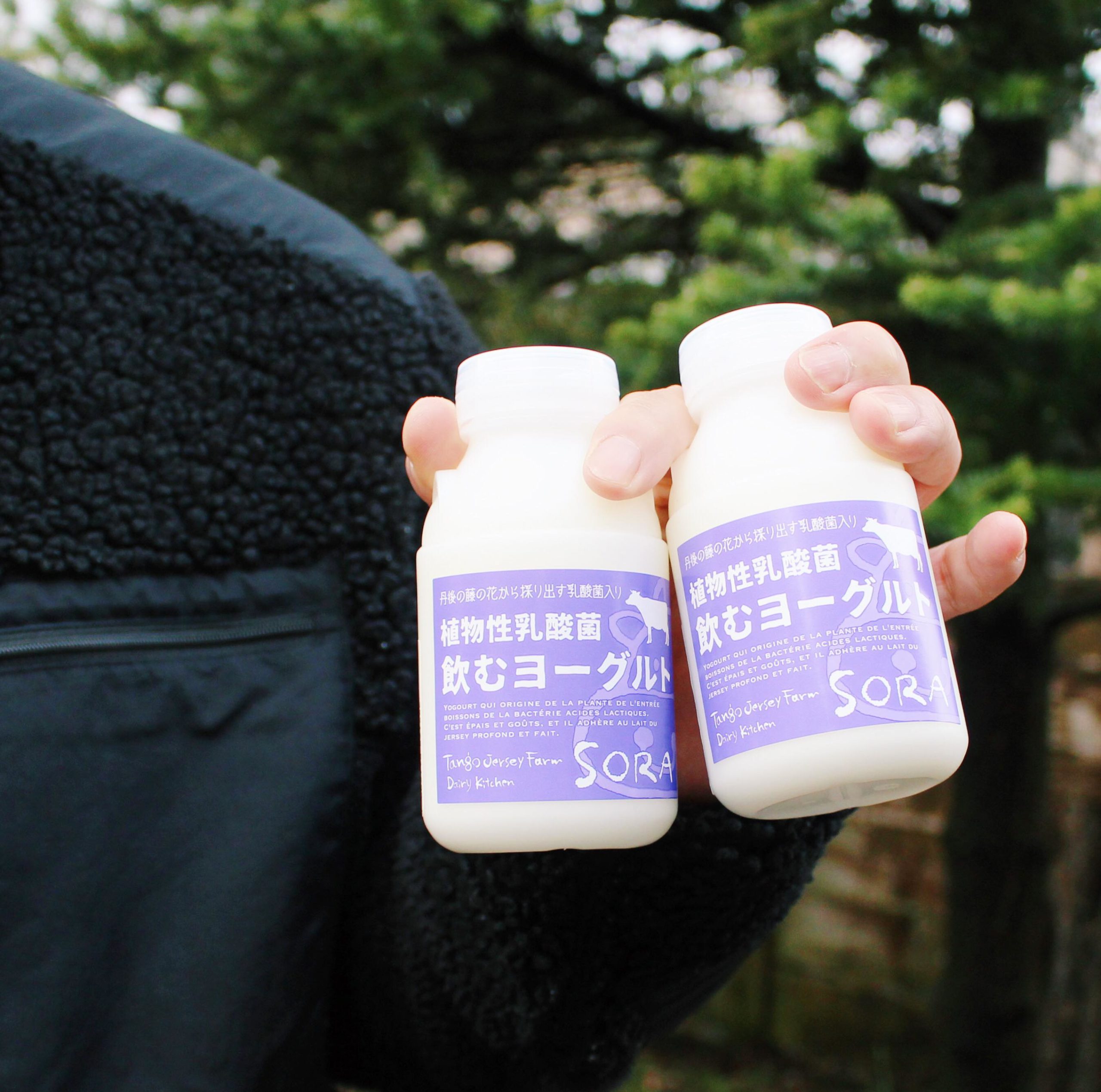 ミルク工房そら テイクアウト たんご